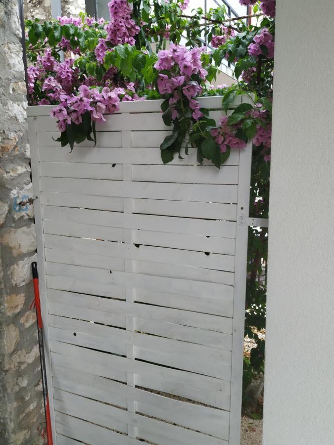 Studio Apartman Violeta II - 50M From The Beach โตรกีร์ ภายนอก รูปภาพ